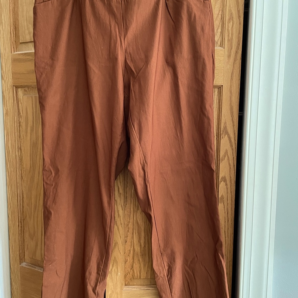 Signature slimming pants by CJ Banks, 16W.